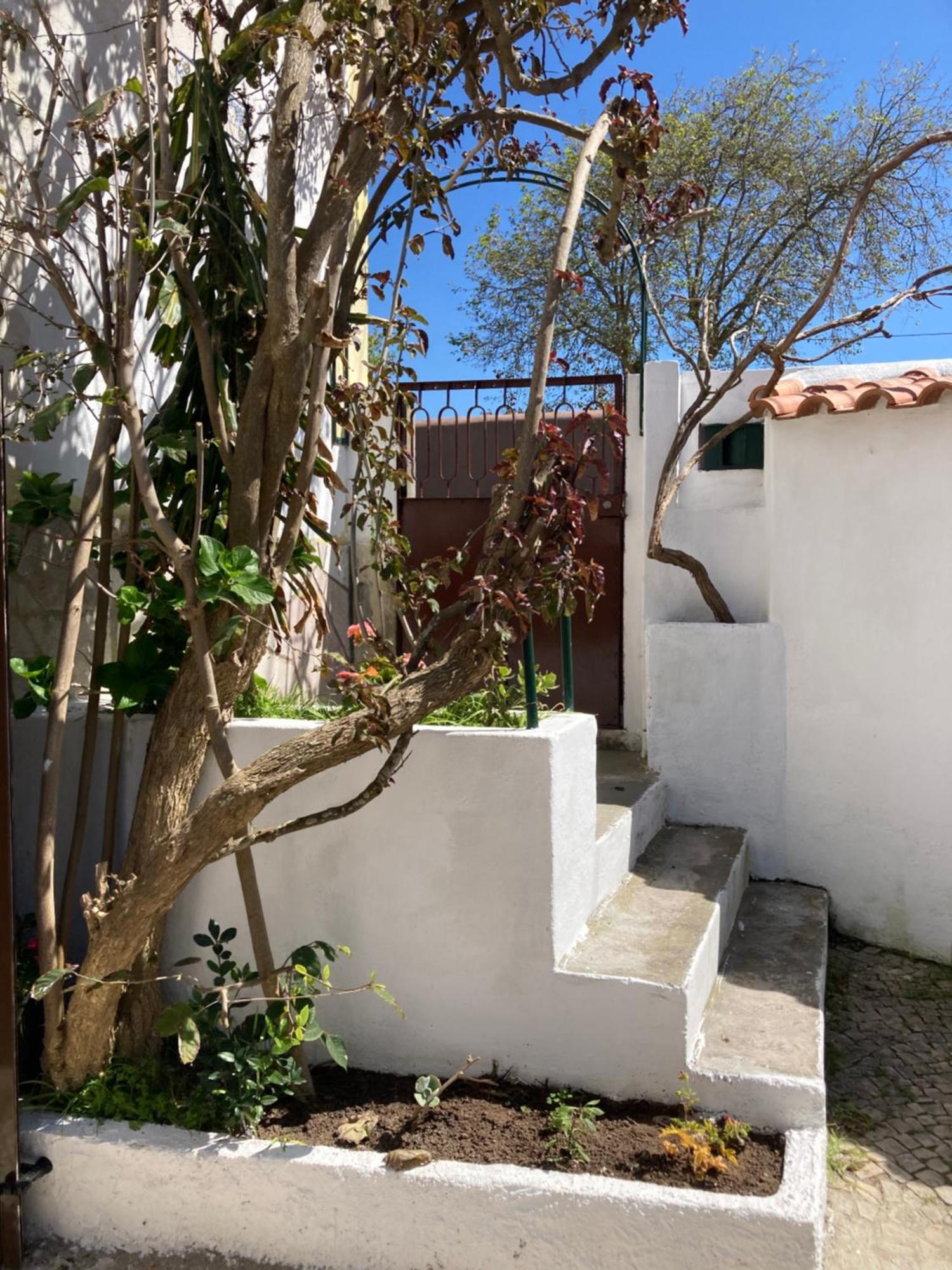 Family House Adraga Βίλα Σίντρα Εξωτερικό φωτογραφία